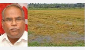 heavy-rain-in-delta-and-most-districts-for-crops-damaged-by-submergence-rs-30-thousand-compensation-marxist-party-demand