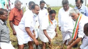 90-of-agricultural-lands-in-pondicherry-affected-by-continuous-rains