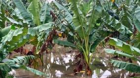 heavy-rains-continue-to-clash-nellai