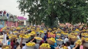 batlagundu-bannana-festival