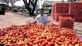 tomato-price