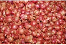 onion-in-karaikudi-for-sale-at-rs-120-per-kg