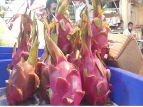 kamalam-has-sweet-sour-reactions-from-fruit-traders-consumers