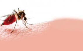 madurai-7-year-old-boy-dies-of-fever-parents-suspect-dengue