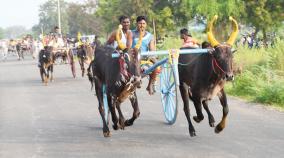 cow-cart-competition