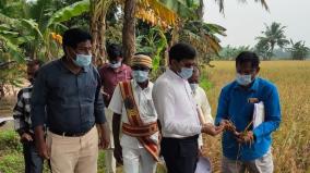 district-collector-who-went-to-the-field-of-the-farmers-who-had-applied-for-relief-due-to-rain-damage-and-inspected-it-in-a-two-wheeler