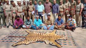 6-arrested-for-trying-to-sell-tiger-skin-near-pollachi