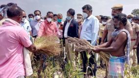 central-team-visits-virudhunagar-to-assess-crop-damages