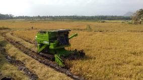 intensity-of-paddy-harvesting-activities-in-tenkasi-district