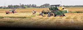 cuddalore-farmers