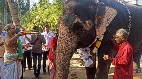 palani-temple-elephant-kasturi-leaving-for-thekkampatti-welfare-camp