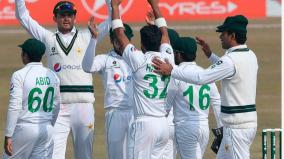 pakistan-beats-safrica-by-95-runs-in-2nd-test-wins-series