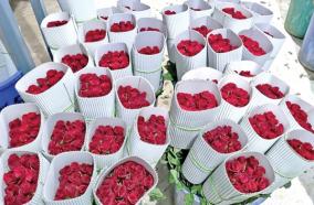 roses-in-hosur