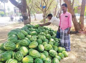 impact-of-watermelon-yield