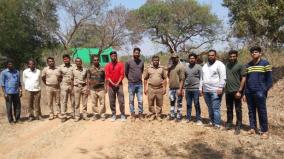 wildlife-survey-in-hosur-forest-reserve-intensity-of-foresters-in-final-phase