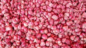 onion-prices-in-karaikudi-what-is-the-reason