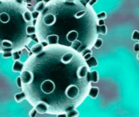 28-persons-tested-positive-for-corona-virus-in-puduchery-today