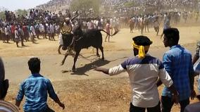 araliparai-manju-virattu-4-dead