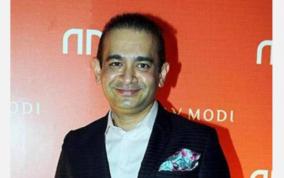 nirav-modi