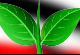 unripe-double-leaf-in-thiruvannamalai-aiadmk-has-not-tasted-victory-in-the-history-of-the-assembly-elections