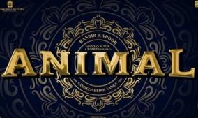 animal-release-date-announced