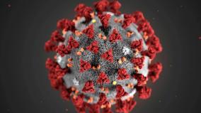 29-persons-tested-positive-for-corona-virus-in-puducherry-today