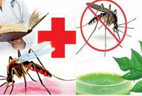 outbreak-of-dengue-fever-in-trichy-42-affected-in-february-alone