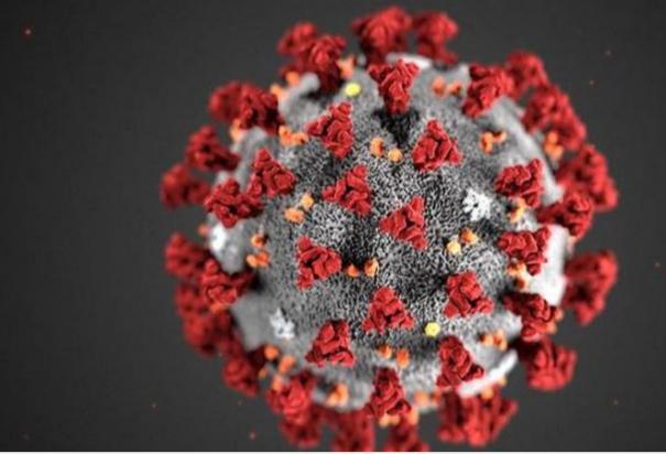 30 persons tested positive for corona virus in puducherry today