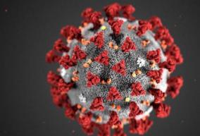 19-persons-tested-positive-for-corona-virus-in-puducherry-today