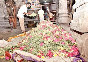 thiruvannamalai-maha-shiv-rathiri-festival