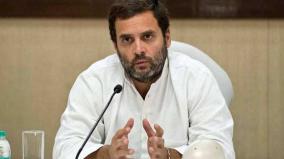 govt-privatising-profit-nationalising-loss-says-rahul-supports-bank-strike