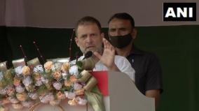 no-caa-in-assam-if-congress-is-voted-to-power-says-rahul-gandhi-ani