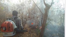 wildfire-in-urigam-wildlife-sanctuary-intensification-of-forest-fires-awareness-campaign-among-the-people