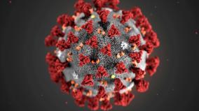 115-persons-tested-positive-for-corona-virus-in-puducherry-today