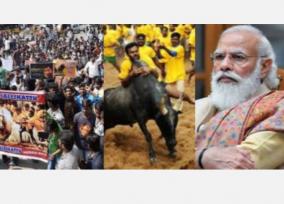 dmk-congress-alliance-bans-jallikattai-i-brought-prime-minister-modi-s-speech