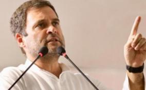 what-would-you-do-as-prime-minister-rahul-gandhi-was-asked-his-reply