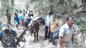 voting-machine-transported-on-horseback-to-kodaikanal-hill-village