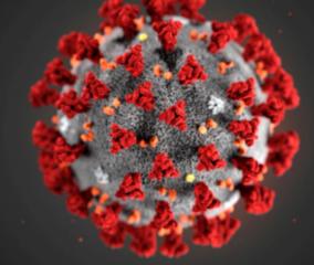 293-persons-tested-positive-for-corona-virus-in-puducherry-today