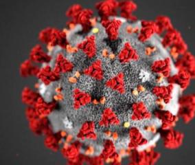 223-persons-tested-positive-for-corona-virus-in-puducherry-today