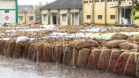 seyyaru-rains-5000-paddy-bags-damaged