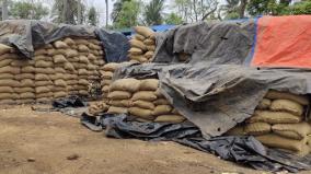 quality-tarpaulin-for-open-field-paddy-warehouses-government-request