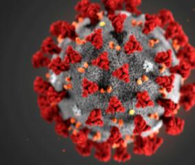 663-persons-tested-positive-for-corona-virus-in-puducherry-today