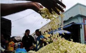 corona-spread-brings-down-jasmine-price-in-madurai-markets