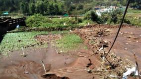 farm-land-damaged-due-to-heavy-rain-in-ooty