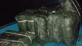 tutucorin-smuggling-case
