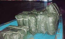 தூத்துக்குடியில் இருந்து இலங்கைக்கு கடத்த முயன்ற ரூ.10 லட்சம் மதிப்பிலான மஞ்சள், பீடி இலை பறிமுதல்