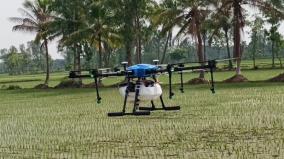 farmer-spraying-fertilizer-and-pesticides-by-drone-in-kumbakonam