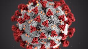 1-021-persons-tested-positive-for-corona-virus-in-puducherry-today