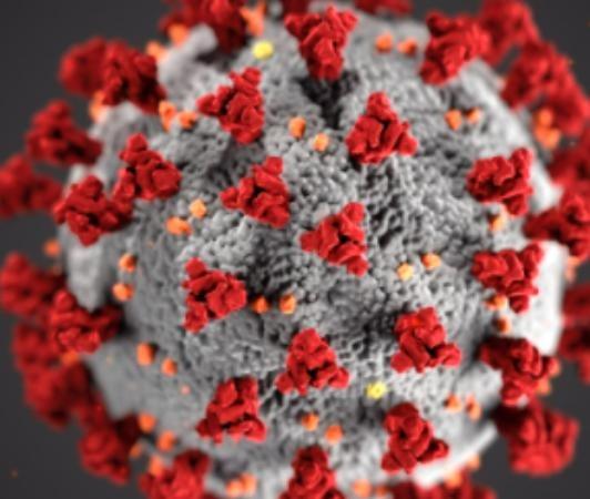 698 persons tested positive for corona virus in puducherry today