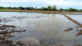 mettur-dam